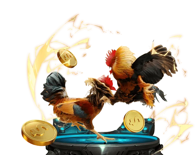 Dịch vụ ưu tiên và hỗ trợ 24/7 cho thành viên VIP